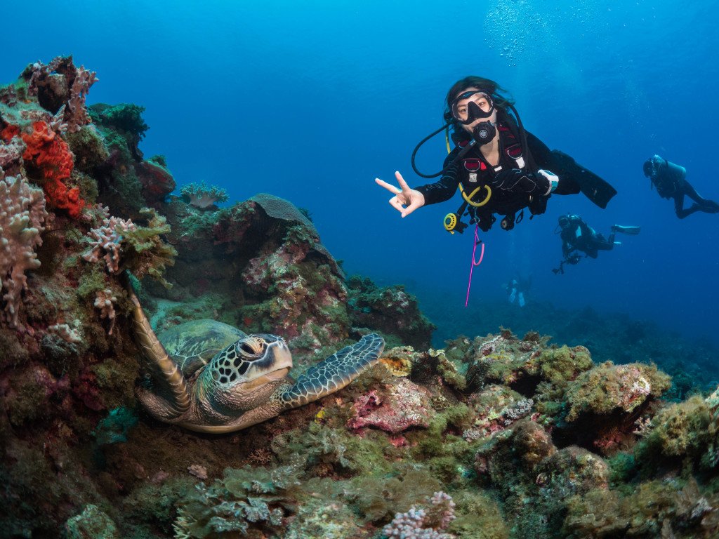 Scuba diver with green sea turtle