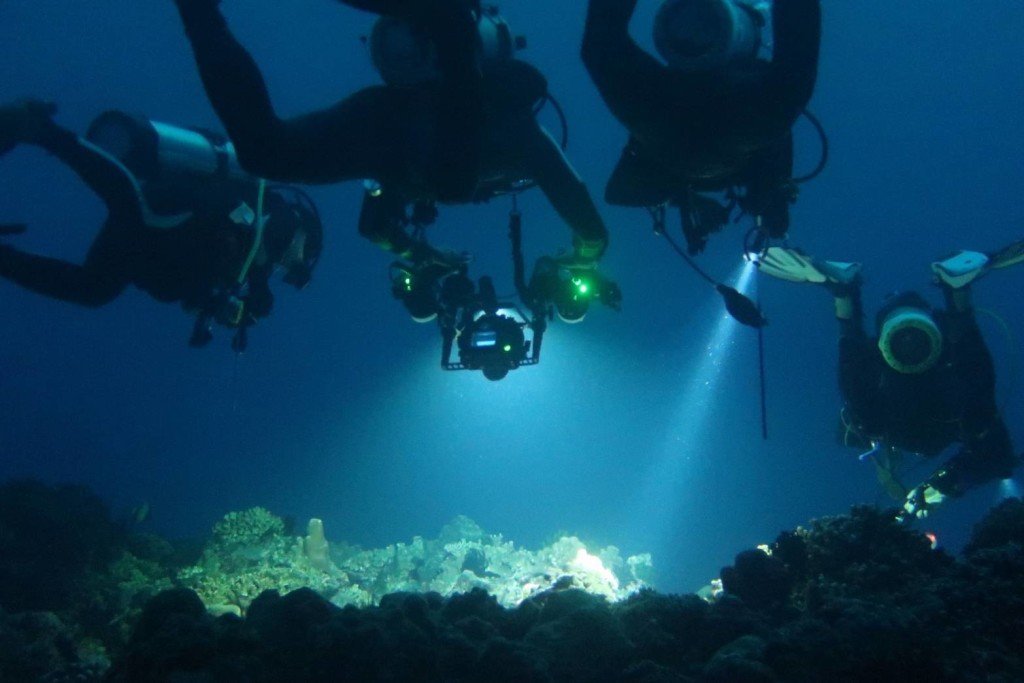Xiao LiuQiu night dive